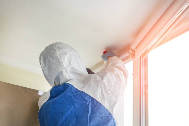 Best Mold Prevention Services in Sparta, IL