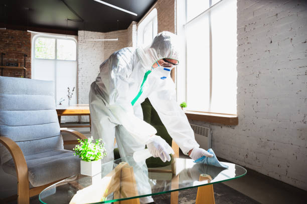 Best Emergency Mold Remediation in Sparta, IL